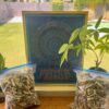 Dry Magic Mushrooms - Sugar Magnolias OZ