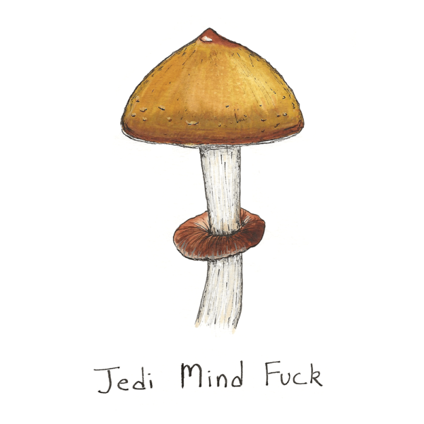 Jedi Mind Fuck OZ Magic Mushrooms | Perfect for a spiritual experience