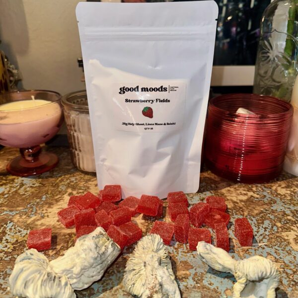 Strawberry Fields Gummies w/ Holy Ghost, Lions Mane & Reishi. x 25 - Good Moods Magic Mushrooms Gummies
