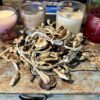Dry Magic Mushrooms - Penis Envy 1/2 lb Mega Sale