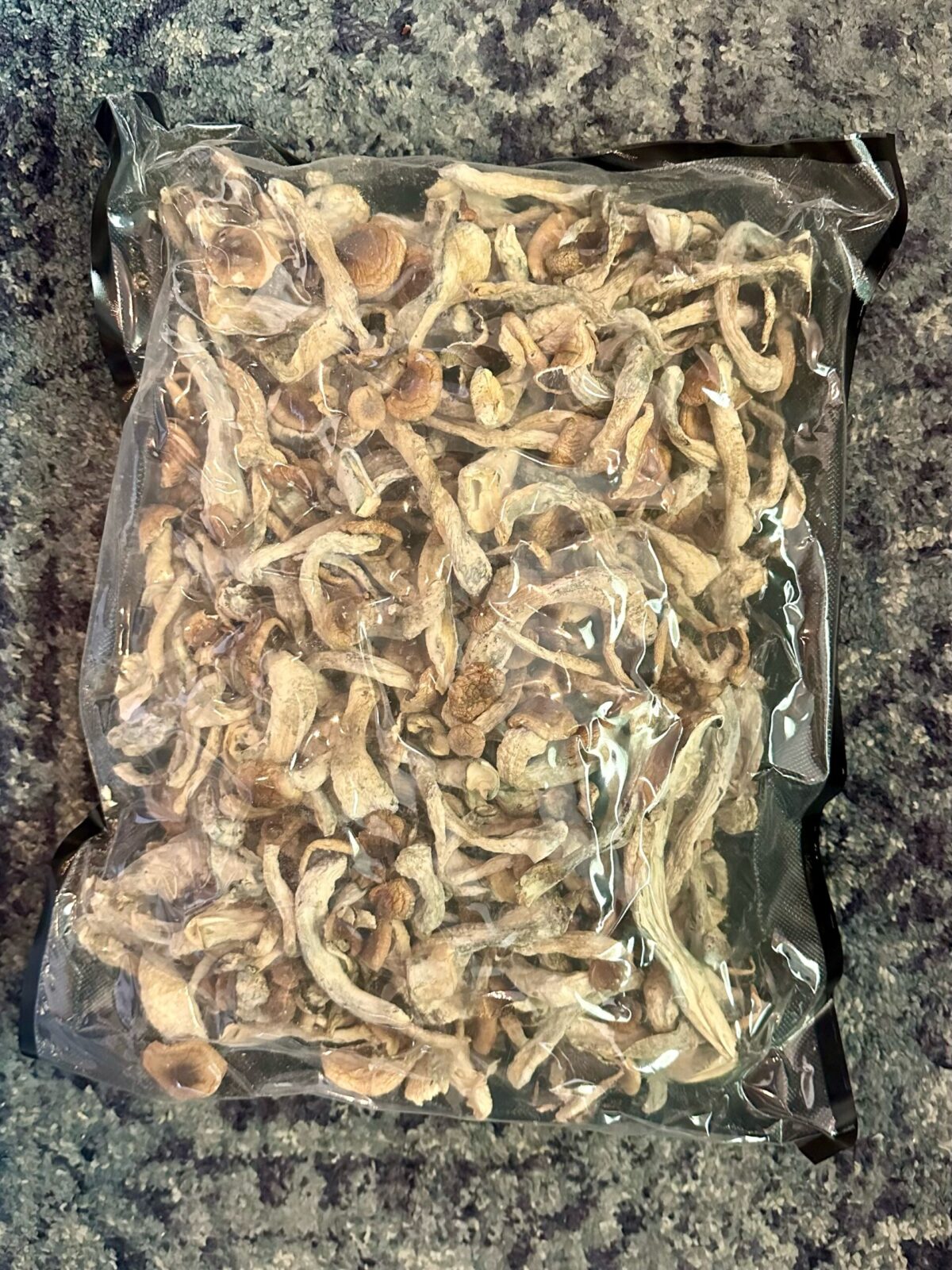 Dry Mushrooms - Good Moods PE 1 Lb Bag