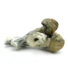 Dry Mushrooms - Watermelon Daydream Microdoses .32g - Good Moods Magic Mushrooms
