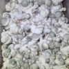 Pearly Gates Pure Fruit 1 OZ - Good Moods Magic Mushrooms