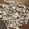 Albino Holy Ghost .32g Microdoses - Image 5
