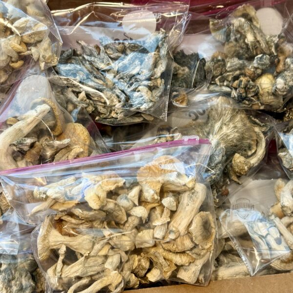 Pure Fruit Bundle - 3 OZ's