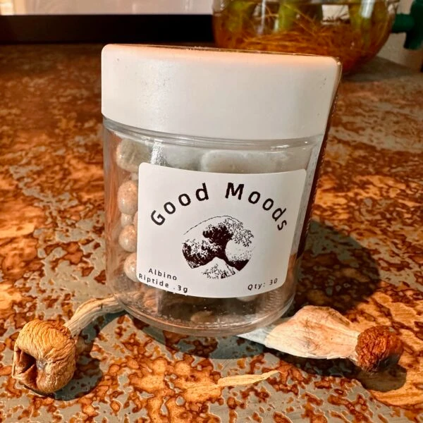 Good Moods Albino Riptide capsule jar with white lid and dried mushrooms on rustic surface