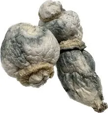 Pearly Gates Pure Fruit 1 OZ dried mushrooms on white background