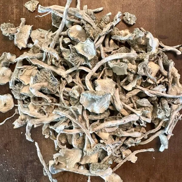 Pile of dried Albino Holy Ghost mushrooms on a wooden surface.
